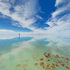 Отель Bayside 2br W/ Pool, Hot Tub & Pier 2 Bedroom Condo, фото 17