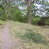 Отель Trollsjö Stegeborg (OST102), фото 11