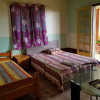 Отель GITE-Hotel LA CAZ DES ORANGERS, фото 16