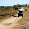 Отель Inkwenkwezi Private Game Reserve, фото 19