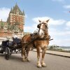 Отель Fairmont Le Chateau Frontenac, фото 24