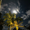 Отель Entre Los Arboles Hotel, фото 25