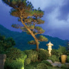 Отель Spring City Resort, фото 17