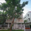 Отель OYO 24394 Flagship Deepalakshmi T Nagar, фото 15