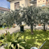 Отель Casa La Palma in San Giuliano Terme, фото 5