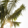 Отель The Godfrey Hotel Hollywood, фото 18