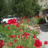 Отель Sangto Green Guest House, фото 3