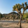 Отель The Way Out Ranch. Escape to Solitude on 2.5 acres, фото 19