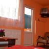 Отель Pensiunea Lala, фото 6