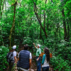 Отель Cloud Forest Lodge, фото 19