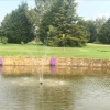Отель Newent Golf Club & Lodges, фото 27
