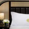 Отель The Candler Hotel, Curio Collection by Hilton - 3 Nights, Atlanta, USA, фото 1