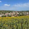 Отель La casa tra i vigneti, фото 16