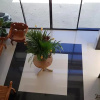 Отель B&S Orchids suites hotel, фото 7