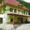 Отель Pension Cabana Dianthus, фото 1