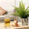 Отель New Bright Apartment in Waterloo, фото 6