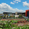Отель Global Luxury Suites at Clarendon Metro Station, фото 1