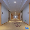 Отель Vienna Classic Hotel (Xi'an Big Wild Goose Pagoda Jindou), фото 21