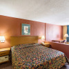 Отель Rodeway Inn & Suites Orangeburg, фото 6