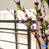 Отель Shengsi Haiyi Lanting Homestay, фото 9