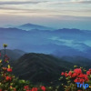 Отель Dawei Mountain Wild Nest Starry Sky Camp, фото 6
