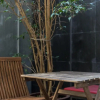 Отель Guestready - Cedofeita Pool Suite 4, фото 14