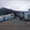 Отель Ooty - Fern Hill, A Sterling Holidays Resort, фото 1