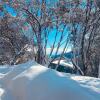 Отель Feathertop Alpine Lodge, фото 37