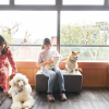 Отель Pet & Spa Hotel Izukogen, фото 8