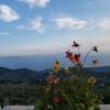 Отель Pelion Villa Alkistis Myth and Magic, фото 2