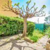 Отель Les Terrases de la Plage 13949, фото 18