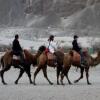 Отель Nubra Eco Village, фото 31