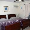 Отель Aruba Paradise Villa, фото 5