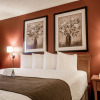Отель Quality Inn and Suites, фото 32
