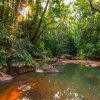 Отель The Canopy Rainforest Treehouses and Wildlife Sanctuary, фото 15