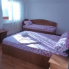 Отель Pensiunea Simona, фото 5