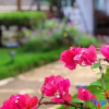 Отель Yiyuan Yameng Homestay (Weizhou Island Colorful Beach Scenic Area), фото 9