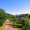 Отель Forest Way Bunkhouse, фото 8