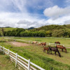 Отель Farm in Pouso Alto MG Tranquility and Comfort, фото 21