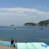 Отель Qingwu Fisherman's Hostel, фото 18