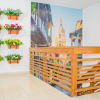 Отель Hostal Ocean View - Hostel, фото 12