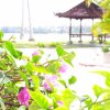 Отель Bintan Cabana Beach Resort, фото 14