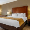 Отель Comfort Inn Shelbyville North, фото 7