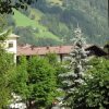 Отель Schlossalm Appartements, фото 10
