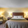 Отель Comfort Inn And Suites, фото 8