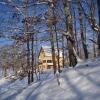 Отель Guest House Tara Canyon в Каньоне Tara