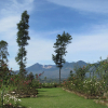 Отель Kebun Mawar Situhapa Hotel, фото 9