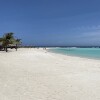 Отель Movida Inn Aruba в Палм-Биче