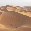 Отель Sahara Desert Camp, фото 9