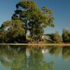 Отель The Apple Pickers' Cottages at Matahua, фото 24